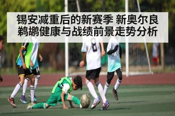 锡安减重后的新赛季 新奥尔良鹈鹕健康与战绩前景走势分析